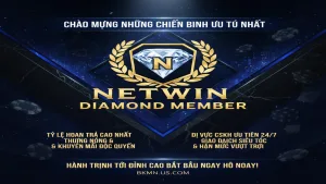 Đặc quyền thăng hạng thành viên Kim Cương Netwin