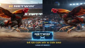 Luật chơi Đá Gà cựa sắt và cựa dao chi tiết Netwin